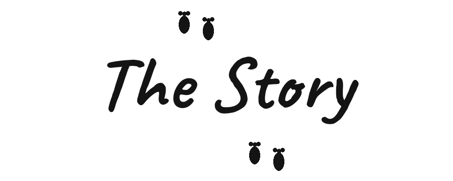The Story logo